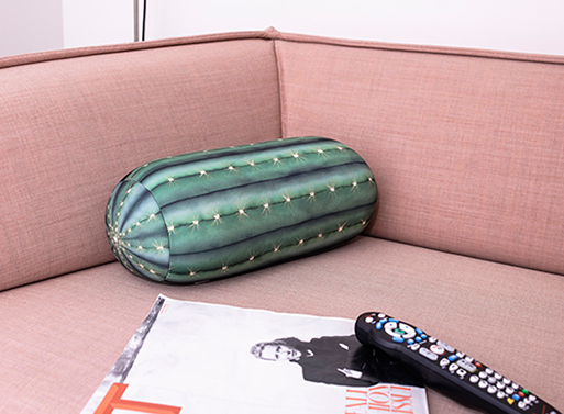 Cactus Pillow