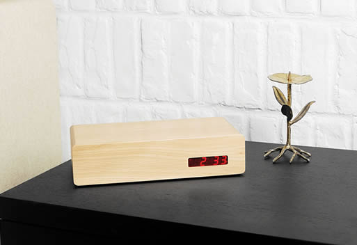GATOR, digital desk clock