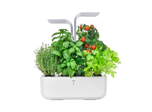 Veritable® Smart Indoor Garden