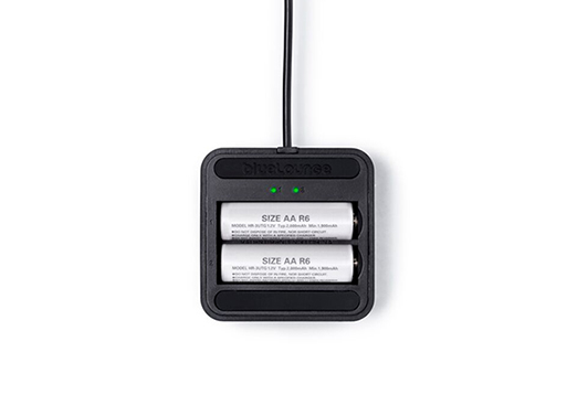 Aaden Battery Charger