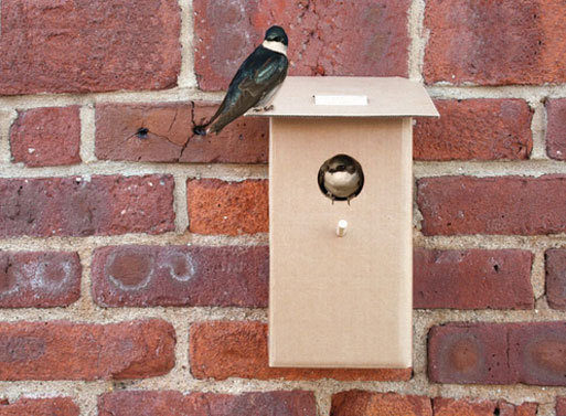 Cardboard Birdhouse