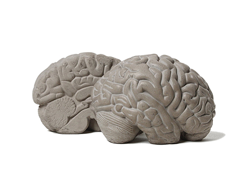 Concrete Brain Bookends