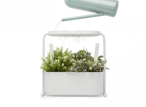 Giardino White