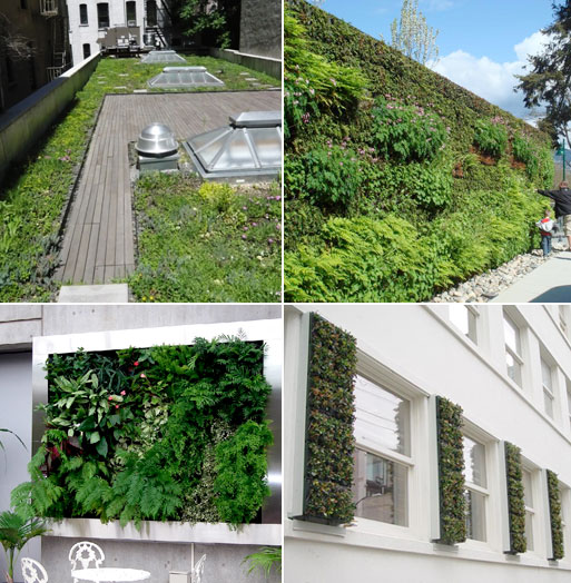 Green Roofs/Wall Panels
