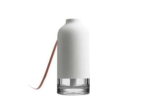 11+ Bottle Humidifier