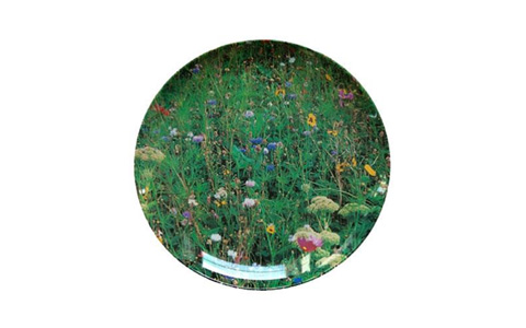 Meadow Plate by Ella Doran Design Ltd