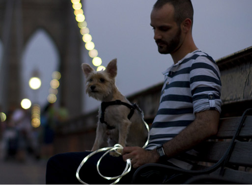 The Pup Crawl Lights-Up Leash