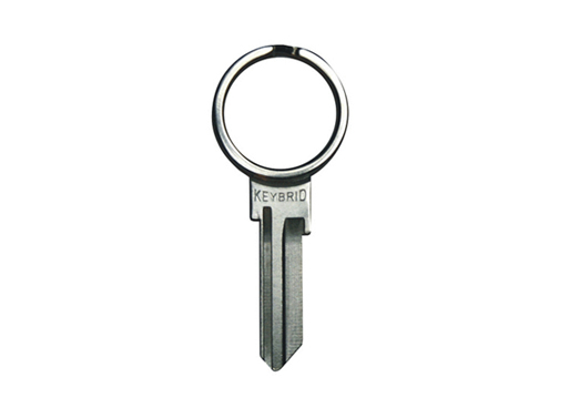 Split Ring Key (Keybrid)