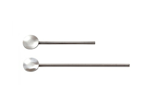 Stainless Steel Spoon Straws