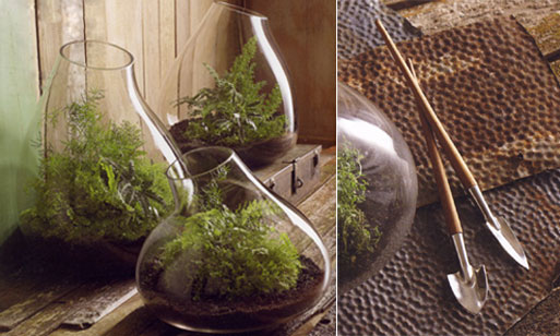 Recycled Glass Bubble Terrariums