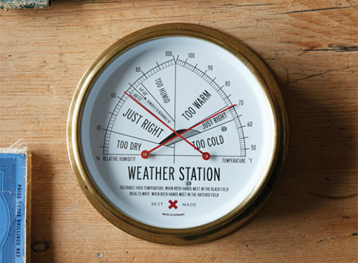 The Weather Station