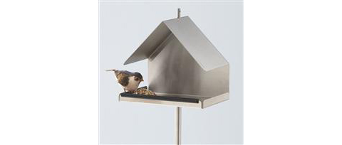 dwell bird feeder