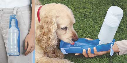 Portable Dog Dish