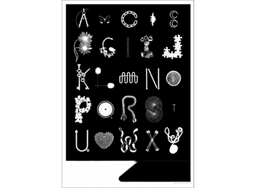 ABC Photogram