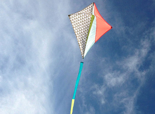 Haptic Lab Signature Kites