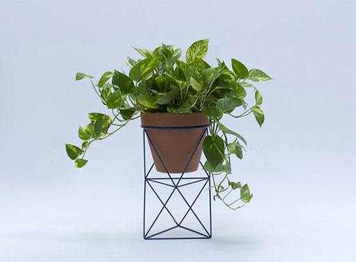 Double Octahedron Ring Planter from Eric Trine