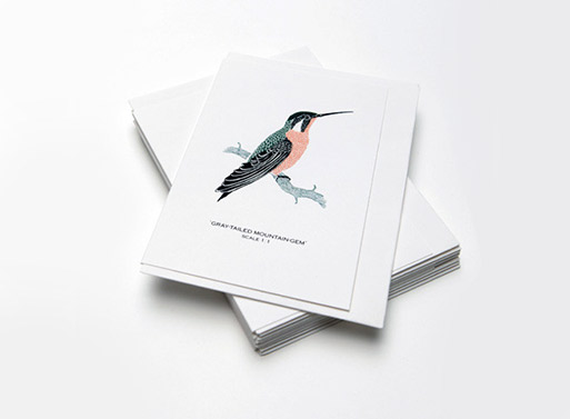 Small Bird Card Set by Fanny Shorter