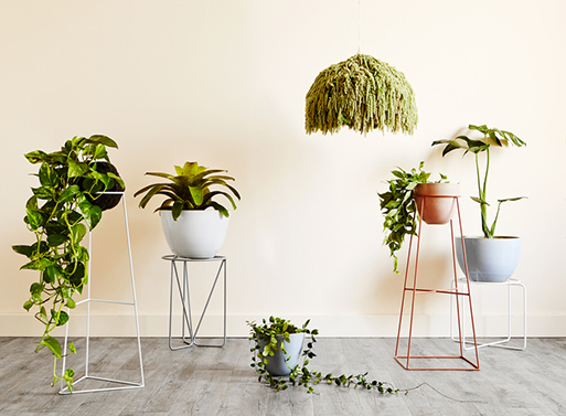 Ivy Muse Plant Stands