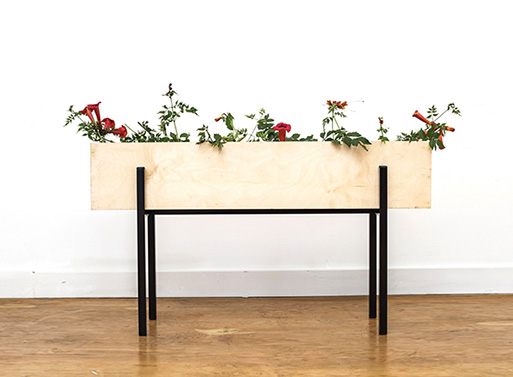 Linear Box Planter