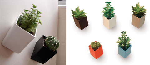 Off The Wall Mini Flowerpot