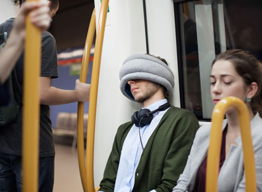 Ostrich Travel Pillow