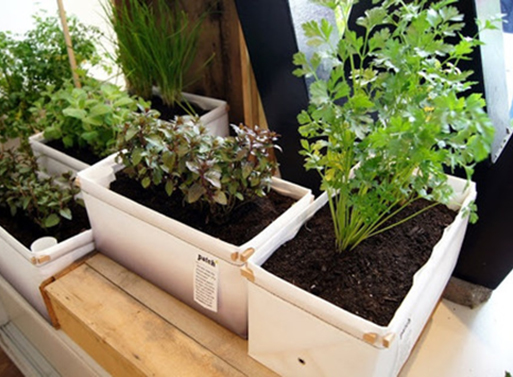 Patch Herb Planter