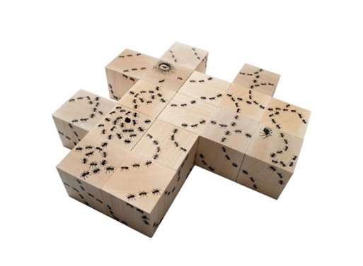 Antics Ant Blocks