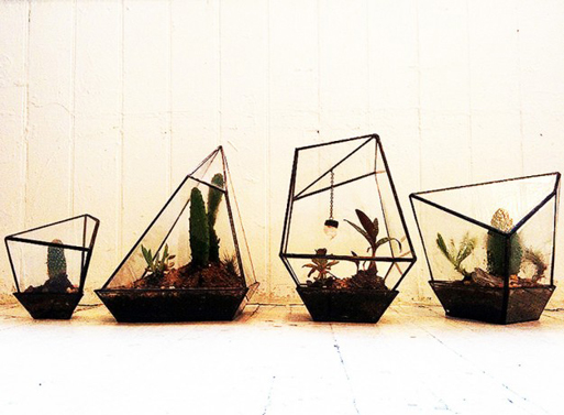 Geometric Terrariums from Assembly New York