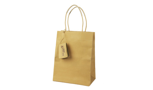 Brave Brown Bag