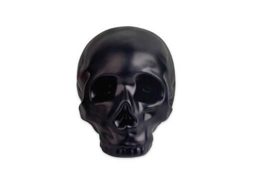 Coin Bank Skull