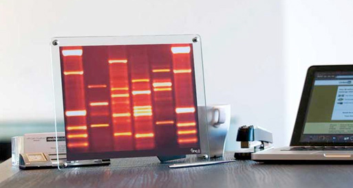 DNA Mini Portrait