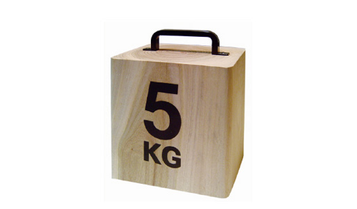 5kg Doorstop