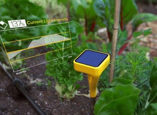 Edyn Garden Sensor