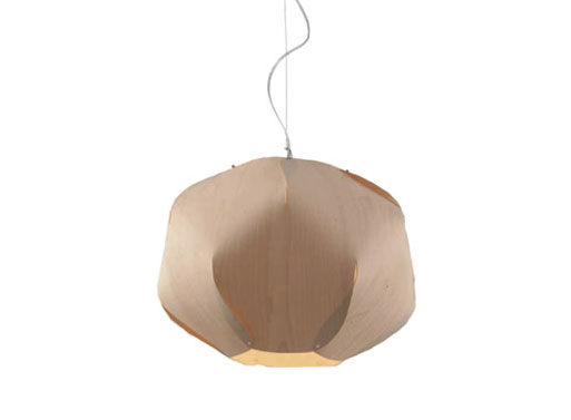 Evolute Suspension Lamp