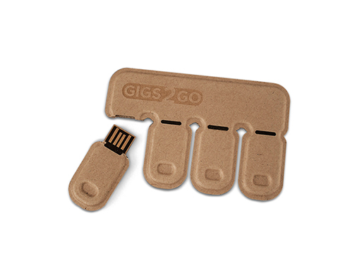 Gigs 2 Go USB Flash Drive