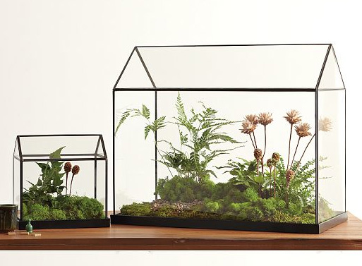 Glass Greenhouse