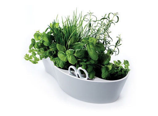 Royal VKB Herb Garden