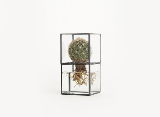 Terra Hydro Terrarium