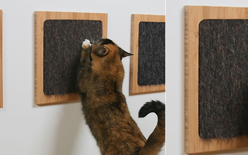 Itch Cat Scratcher