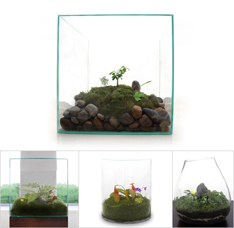 JeffreyJamesModern terrariums