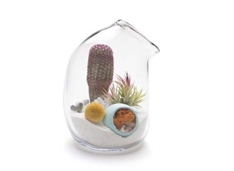 Litill Terrariums