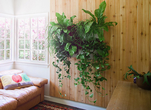 Living Wall Planter