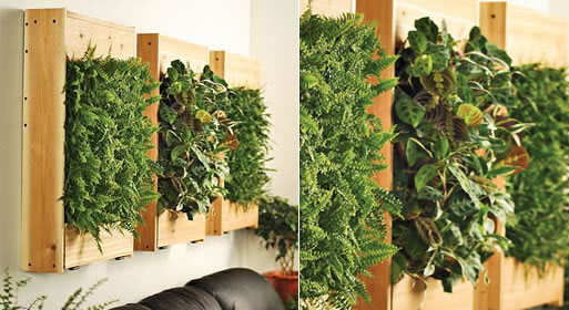 Living Wall Planters