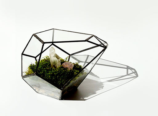 Geometric Terrariums