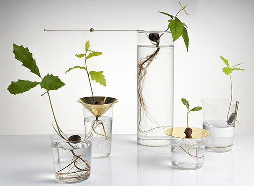 Floating Forest by Michael Anastassiades