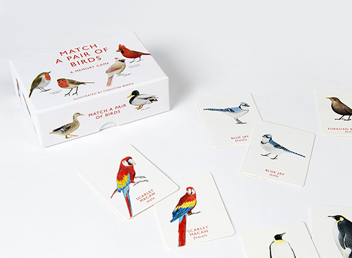 Match a Pair of Birds: A Memory Game