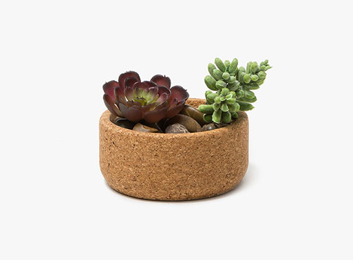 Cork Planters