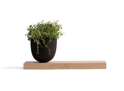 Menu Grow Pot with Wooden Board