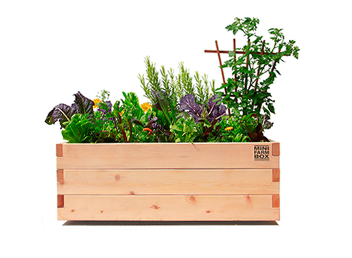 MinifarmBox Rolling Patio Box