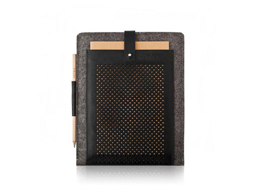 Ostfold 698 iPad Case